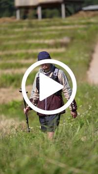 BIB:  <button type="button" onclick="openModal(26787488)" class="btn btn-primary btn-sm float-right" data-toggle="modal" data-target=".modal-high-quality">
                <i class="fa fa-download"></i> Download
                </button>